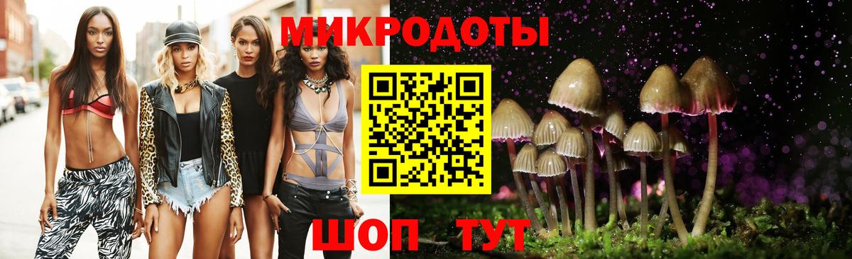 Псилоцибиновые грибы Psilocybine cubensis Новозыбков