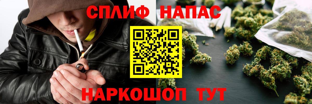Канабис семена  Вход с VPN  Новозыбков  Бошки Шишки ГИДРОПОН 
